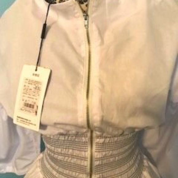 The Light - Picture 4 of 4